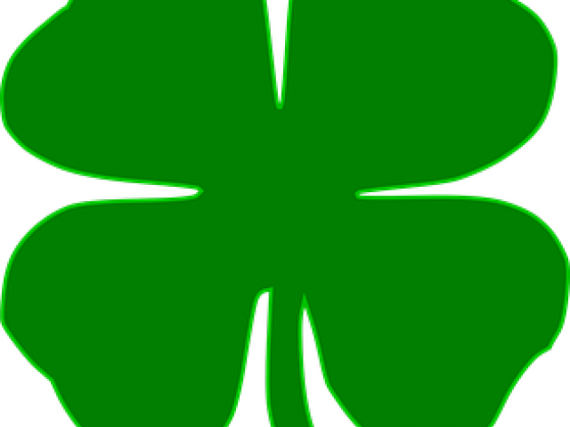 Shamrock Clipart Giant - 4 Leaf Clover (640x480)