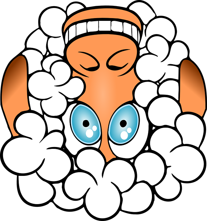 Sheep-156163 960 720 - Sheep-156163 960 720 (673x720)