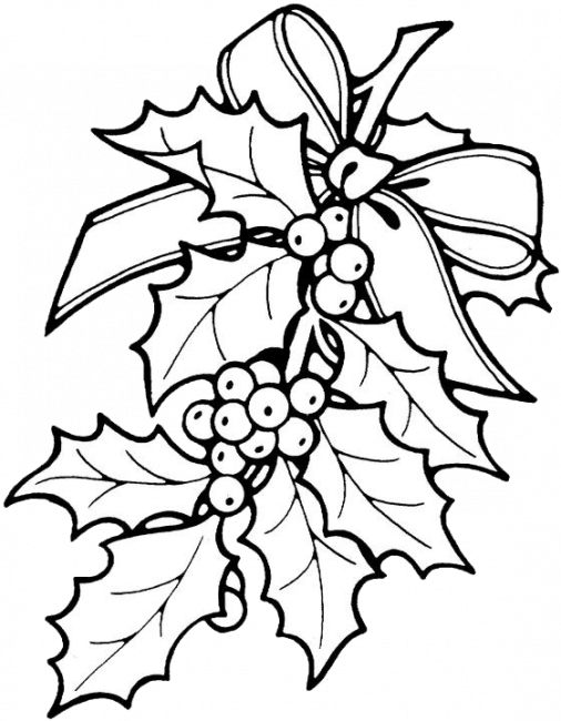 Christmas Leaves Coloring Pages 1 Christmas Leaves - Christmas Leaves Coloring Pages 1 Christmas Leaves (506x650)