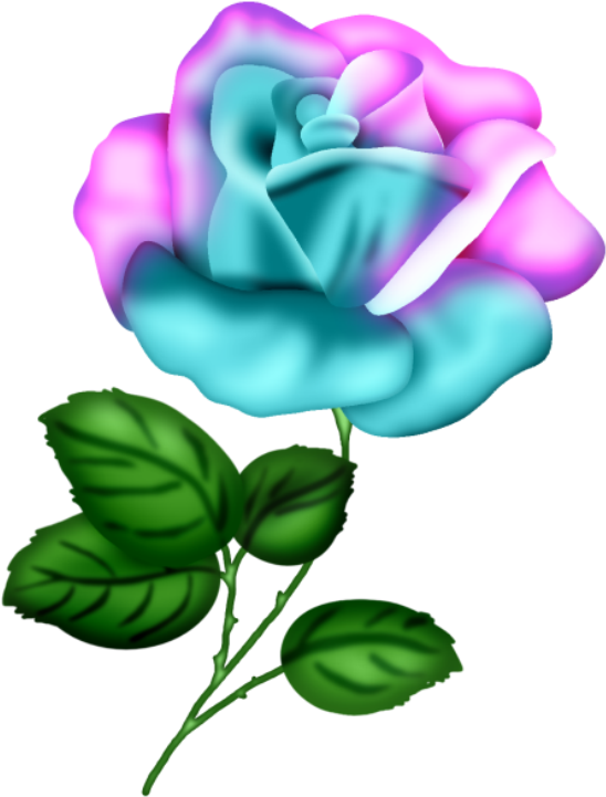 Roses,pink,roze,rosa, Decoupage, Clipart Design, Rose - Fleur Feuille Dessin Couleur (548x800)