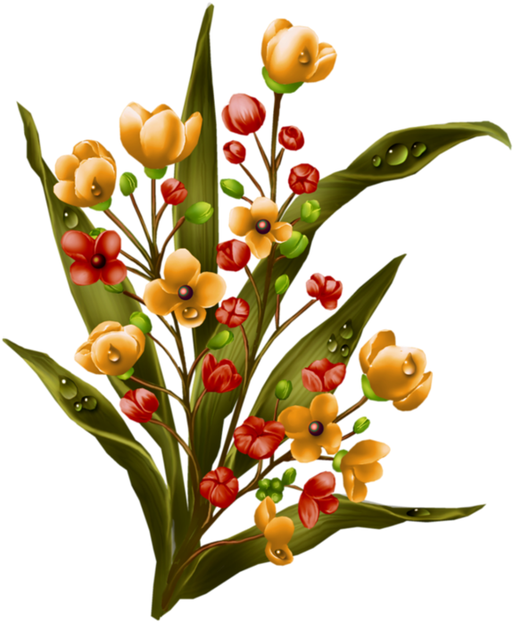 Цветы Shabby Chic, Virágok - Tulipa Humilis (600x715)