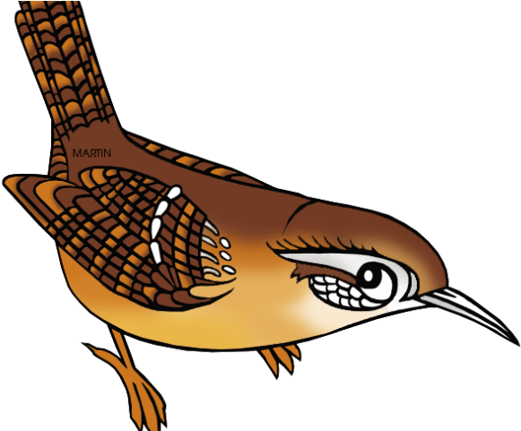 Wren Clipart Sc State Bird - Cartoon Wren Clipart (640x480)