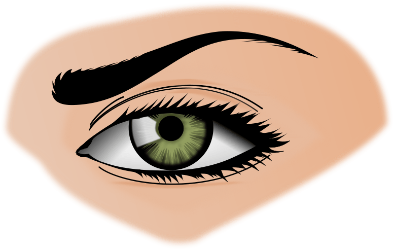 Eye Clip Art Free - Eye Clipart Png (800x800)