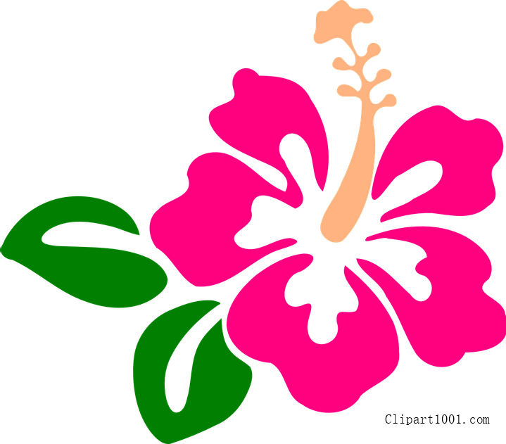 Hawaiian Flower Clipart With Green Leafs Clipart1001 - Hibiscus Clip Art Transparent Background (719x631)