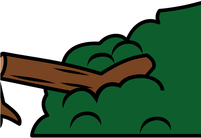 Stump Clipart Fallen Log - Broken Tree Clip Art (641x441)