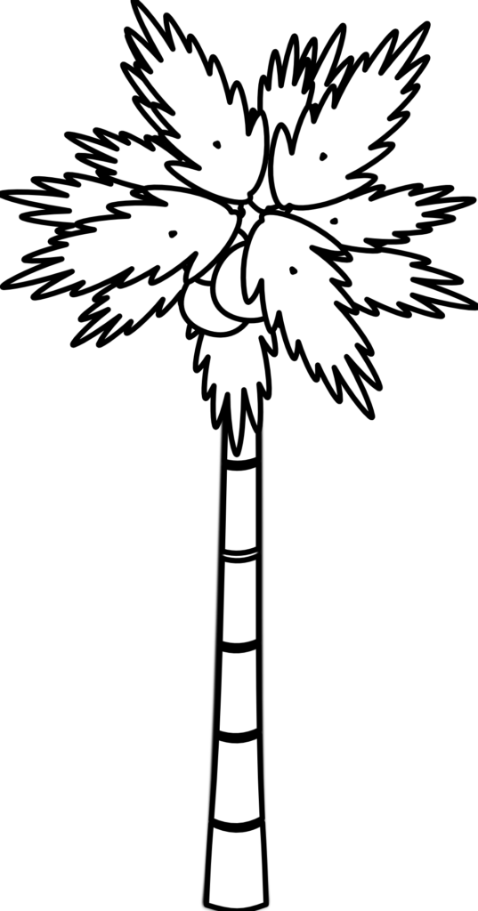 Apple Shape Clipart Black And White 17 Tree Clip - Trees Black And White Drawings (537x1024)