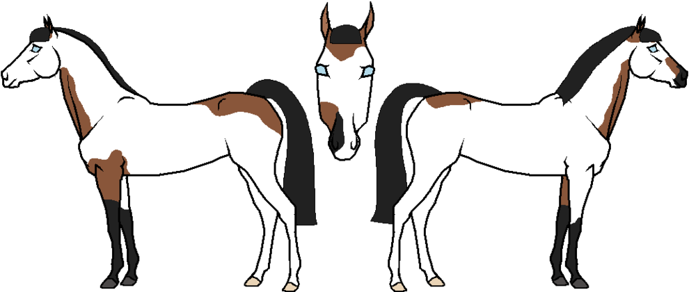 1024 X 507 4 - Mare (1024x507)