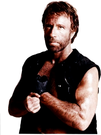 Chuck Norris Png - Chuck Norris (400x498)