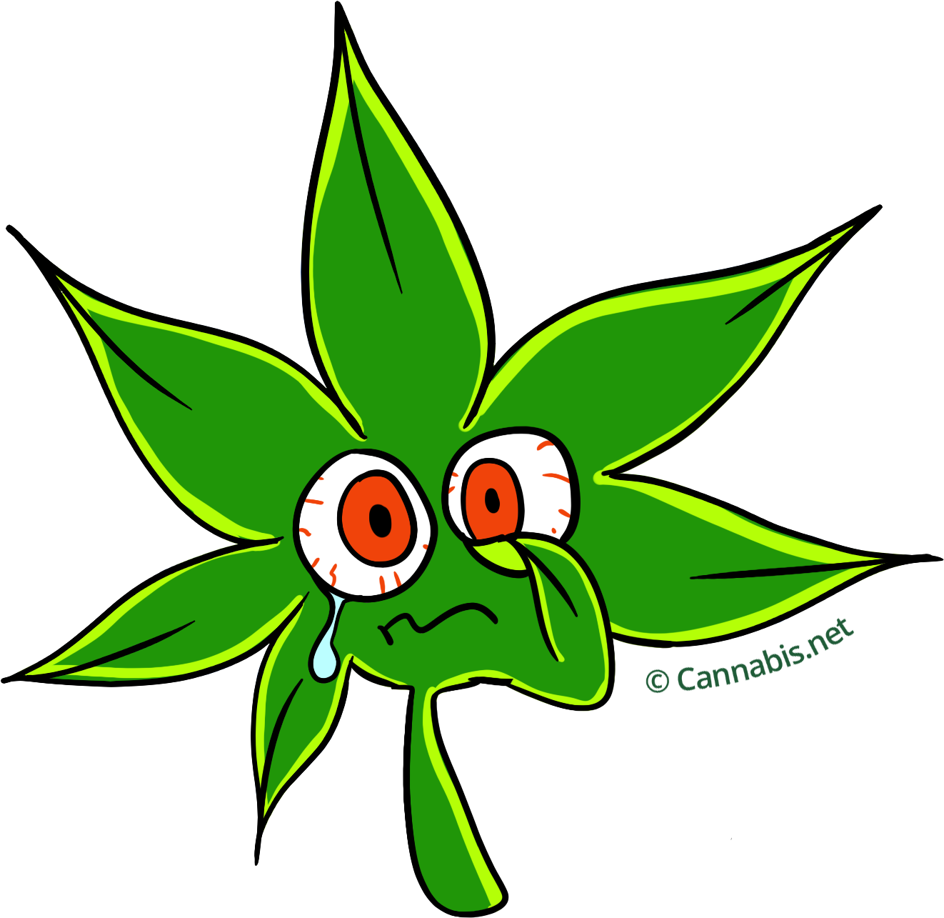 Dream Queen Strain Transparent Background - Planta De Marihuana Dibujo (1500x1366)