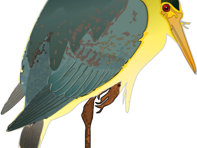 Green Heron Clipart Stylized - Illustration (640x480)