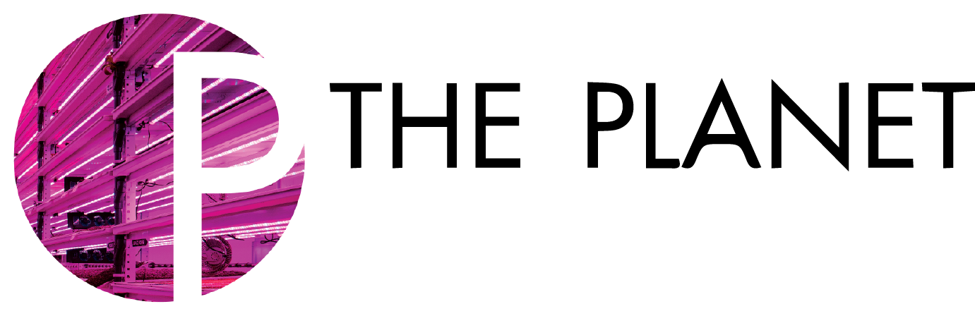 The Tale Of The Saturday Night Massacre - Graphic Design (1381x448)