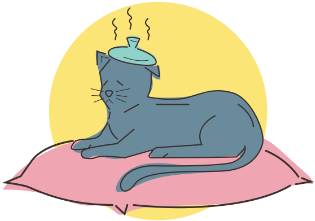 Coughing And Gagging In Cats - Sitting (350x350)