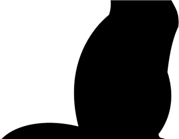 Drawn Black Cat Shadow - Drawn Black Cat Shadow (640x480)
