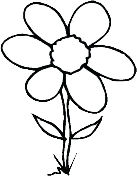 Largest And Collection Of Flower Clipart Images In - Black And White Picture Of Flower Clip Art (540x702)