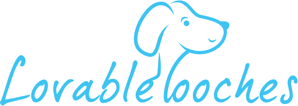 One Was Shot And The Other Kicked And Paralyzed, But - One Was Shot And The Other Kicked And Paralyzed, But (1000x356)