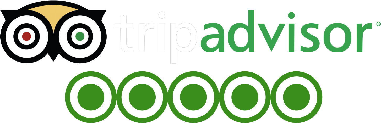 Social Media - Trip Advisor (1667x570)