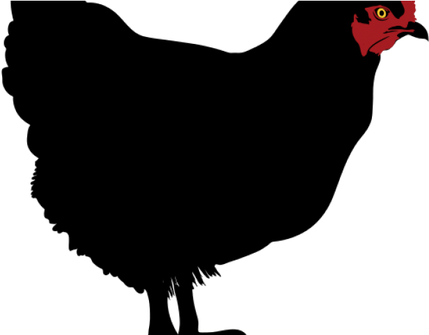 Rooster Clipart Dxf - Chicken Silhouette Clip Art (640x480)