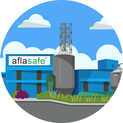 Aflasafe Is Made In Africa Using Locally Sourced Materials - House (400x400)