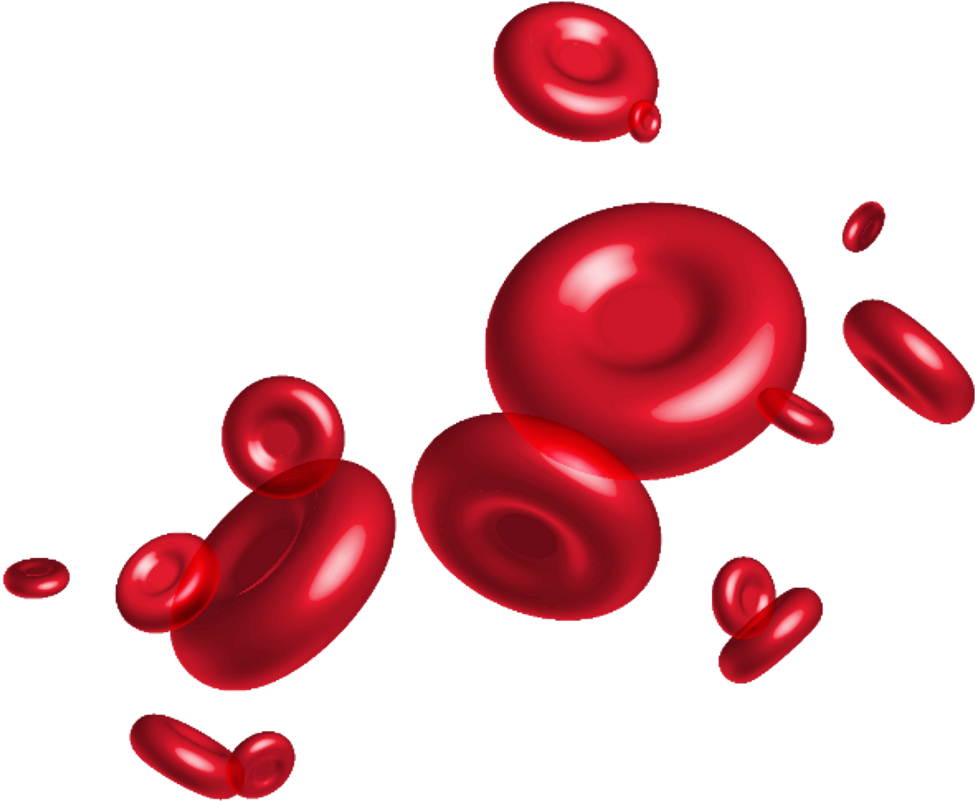 #redbloodcell #redblood #red #blood #plasma #ftestickers - Red Blood Cells Png (1024x880)