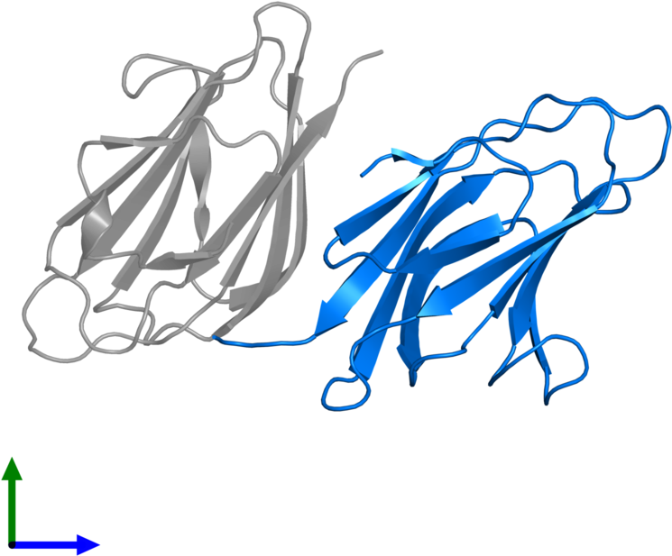 <div Class='caption-body'>pdb Entry 1spp Contains 1 - Illustration (800x800)