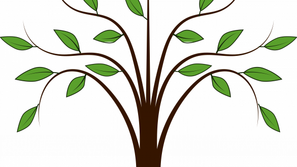 Unlock Clipart Images Of Trees Family Tree Panda Free - Tree Clipart Png (585x329)