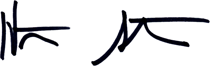 Steanssig - Strap (736x233)