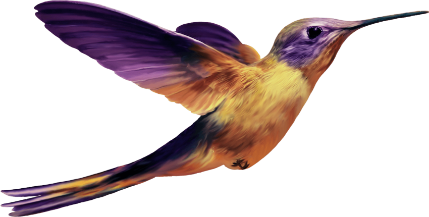 850 X 430 2 - Purple Hummingbird Png (850x430)