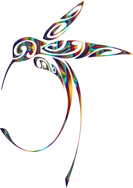 Line Art Hummingbird Drawing - Prometeme Que En Otra Vida Haremos Todo (529x750)