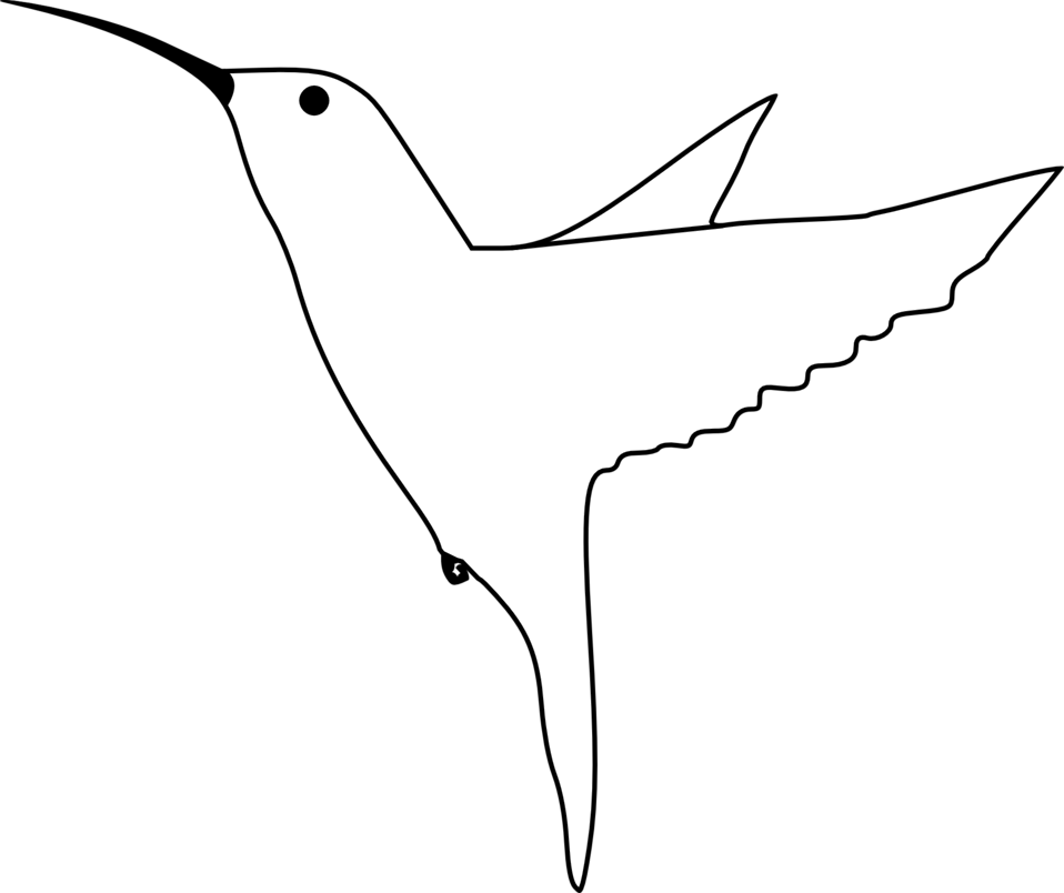 Hummingbird - Bird Drawing Side View (958x804)