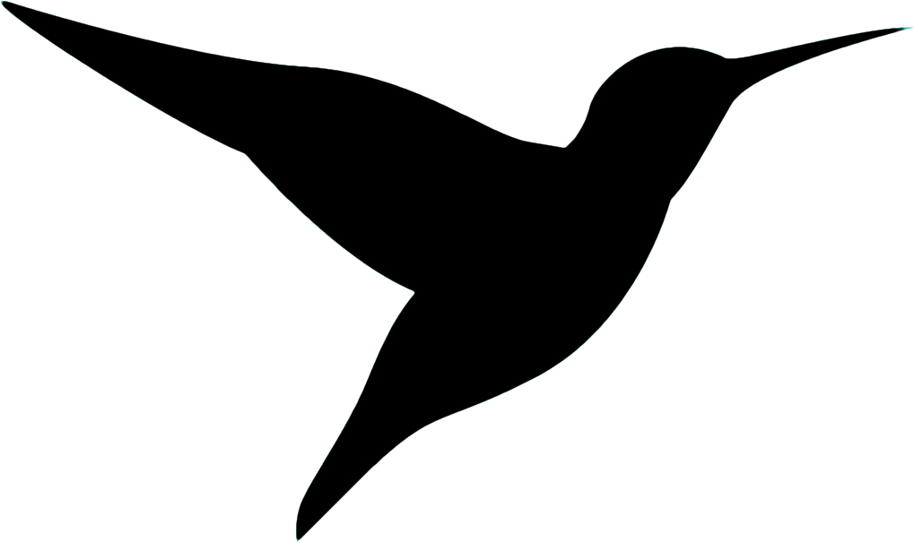 Hummingbird (1050x642)