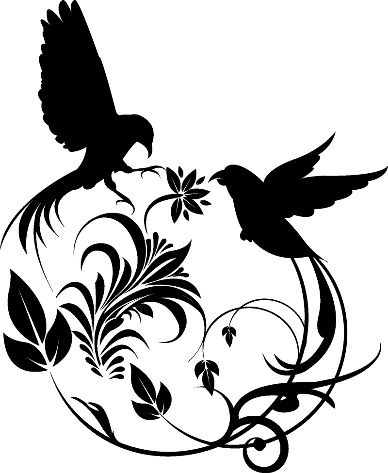 Birds Swirl Silhouette Cameo Pinterest Bird And Ⓒ - Design For Power Point (800x975)