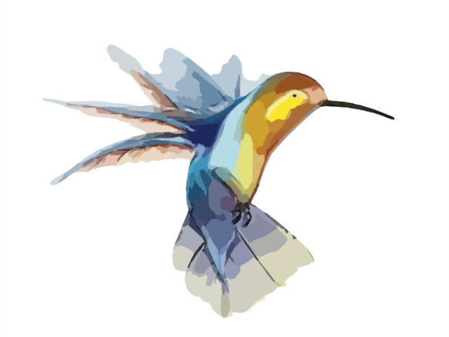 Hummingbird Clipart Transparent Background - Transparent Hummingbird (640x480)