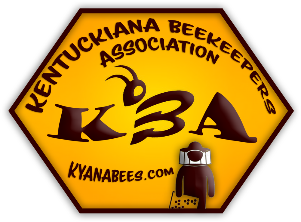 1 Year Kba Member Subscription - Cool B (1000x1000)