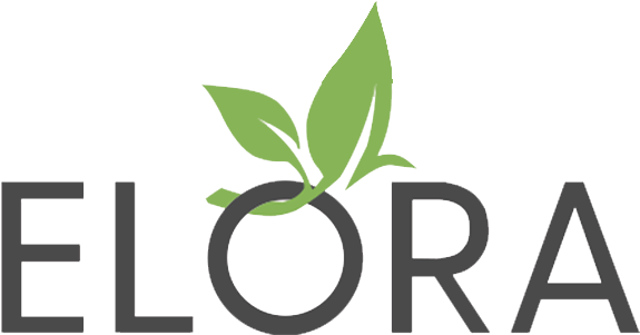 Site Logo Site Logo - Graphic Design (579x312)