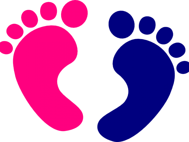 Welcome Clipart Foot - Baby Feet Blue And Pink (640x480)