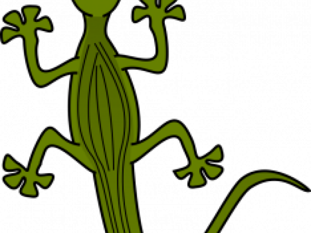 Gecko Clipart Transparent Background - Reptiles Clipart (640x480)