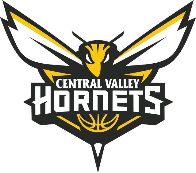Tournament For 4/6-4/7 - Hornets Logo (639x563)