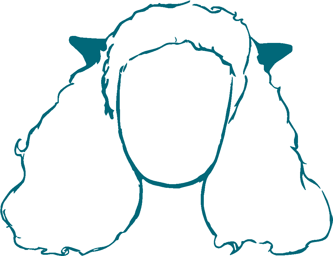 Dessin Du Portrait De Pamela Dorival - Dessin Du Portrait De Pamela Dorival (1117x937)