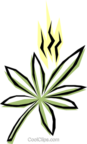 Marijuana Royalty Free Vector Clip Art Illustration - Marijuana Royalty Free Vector Clip Art Illustration (289x480)