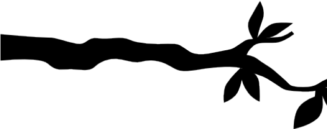Silhouettes Clipart Tree Branch - Tree Branch Clipart Black And White (640x480)