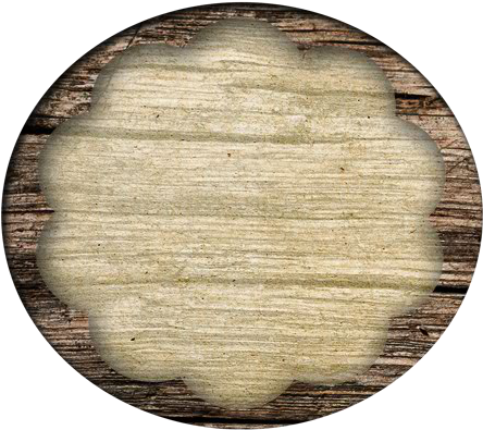 Transpiration Is The Process By Which Moisture Is Carried - Circle (550x406)