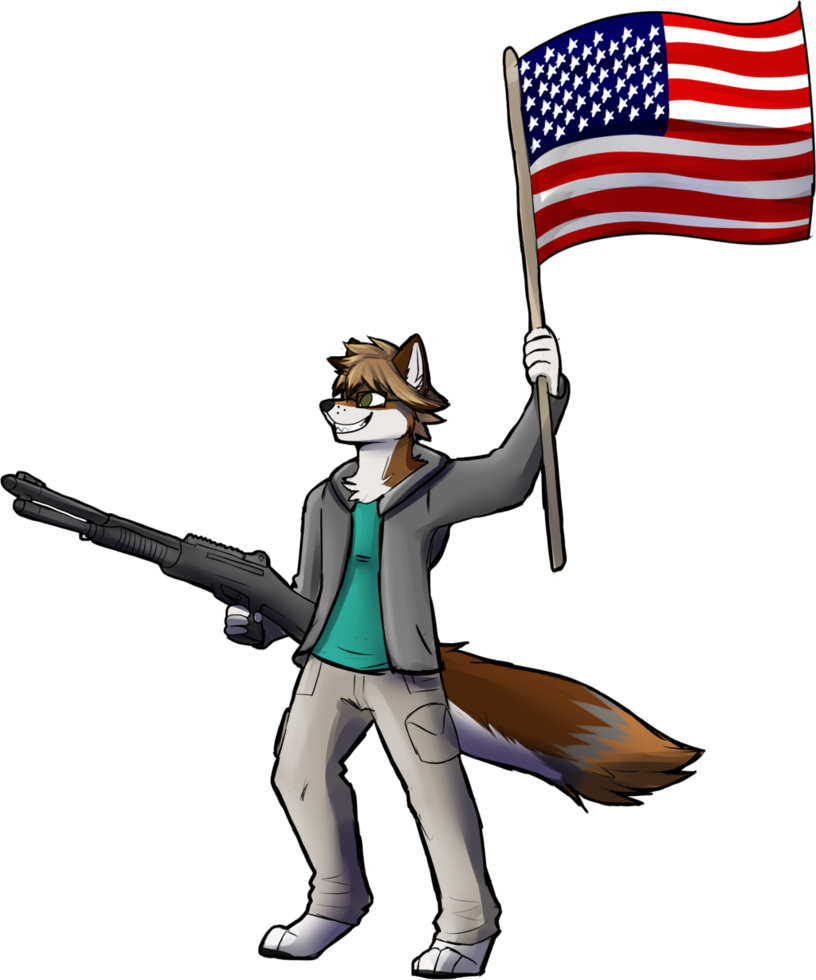 Joseph - Flag Of The United States (816x980)