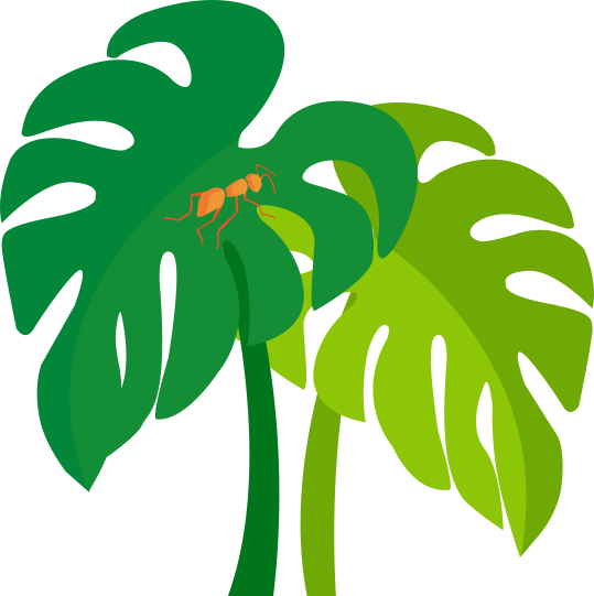 Email - Hello@touchwoodworld - Com - Illustration (539x541)