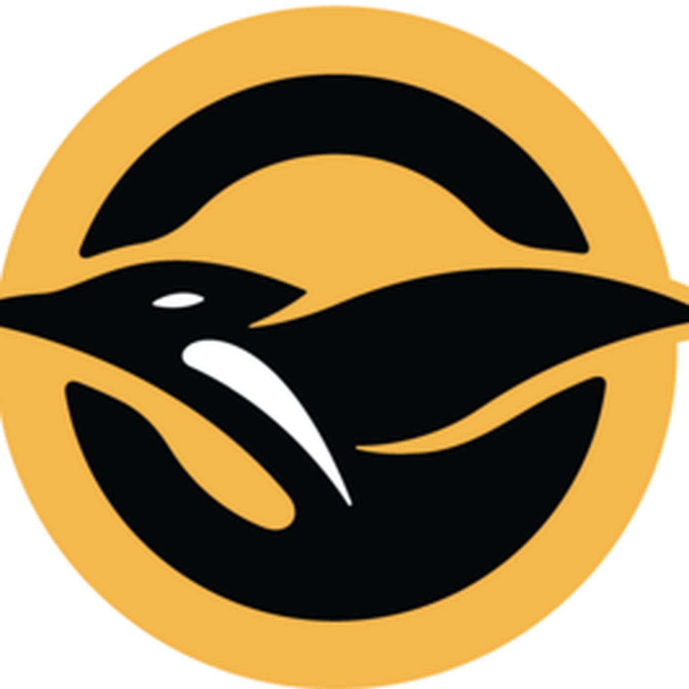 Panty Flash Teacher - Pittsburgh Penguins (1400x1400)