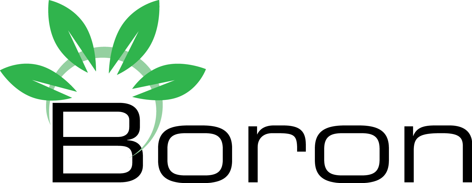 Boron Helps Encourage Vigorous Fruiting, Carbohydrate - Boron Png (1568x608)