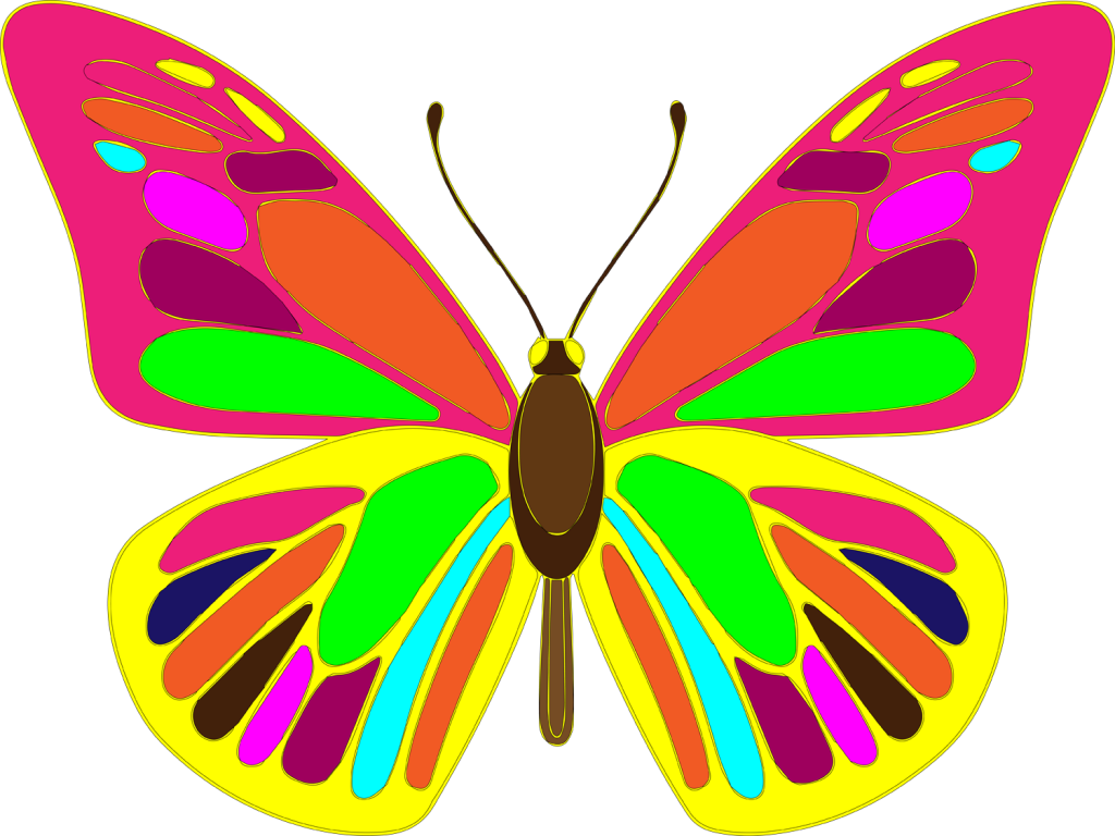 Free Butterfly Vector Art - Brush-footed Butterfly (1024x768)