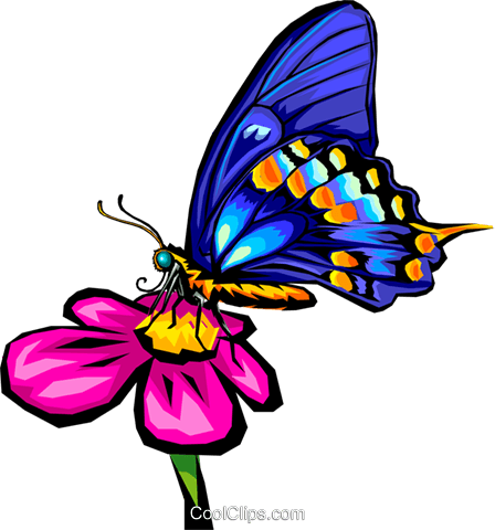 Butterfly Royalty Free Vector Clip Art Illustration - Butterfly On Flower Clip Art (448x480)