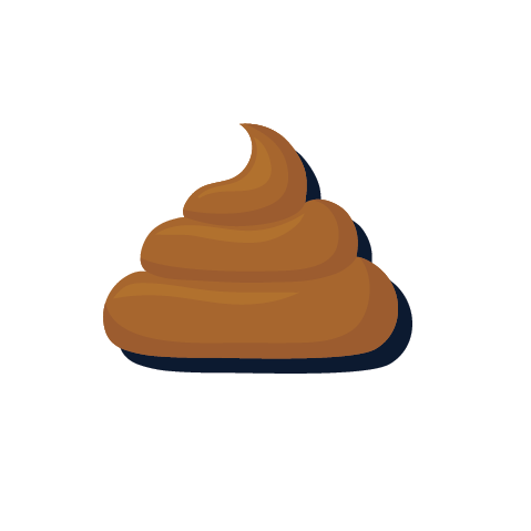 Flush The Taboo Away With These 7 Fun Facts About Poop - Icing (479x479)