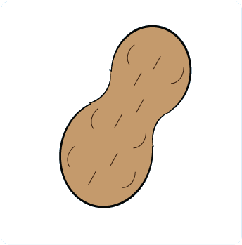 Peanut Ewr Provider System - Peanut (360x360)
