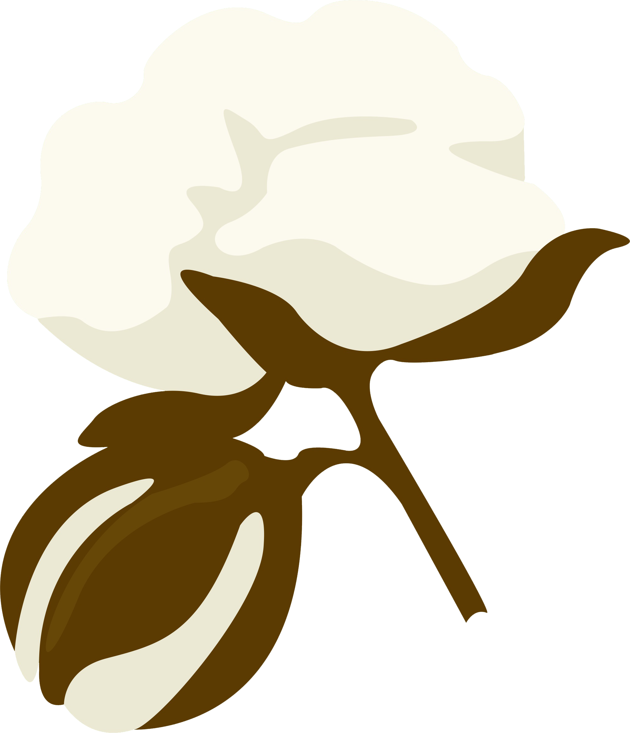 Cotton Bales Harvested In Arizona In - Cotton Bales Harvested In Arizona In (2038x2370)